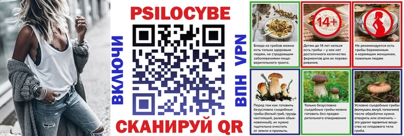 как найти закладки  Ковылкино  Псилоцибиновые грибы мицелий 